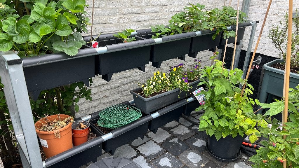 Gegalvaniseerd Rek voor 10 BATO bakken, Tuin en Terras, Ophalen, 100 cm of meer, Nieuw, Metaal
