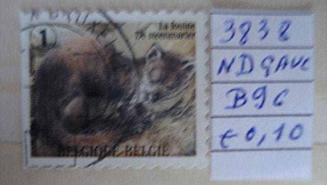 Belgique  n 3838  (O)  =  B96, 1 Autocollant, Affranchi, Envoi, Autre