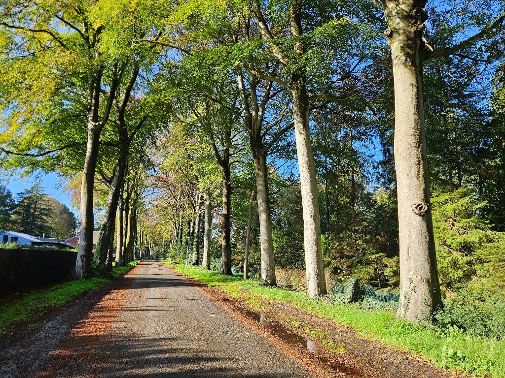Landbouwgrond in Varsenare, Varsenare, Verkoop zonder makelaar, 1500 m² of meer