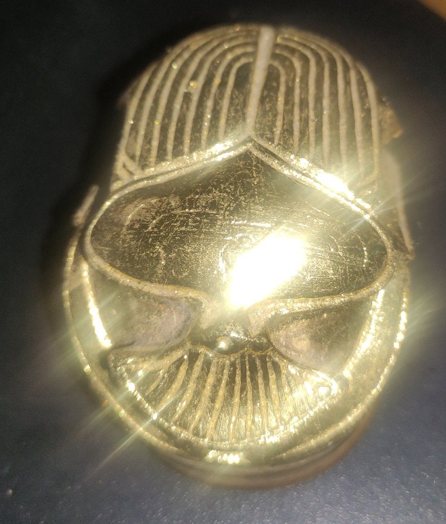 Gouden heilige kever, Ophalen