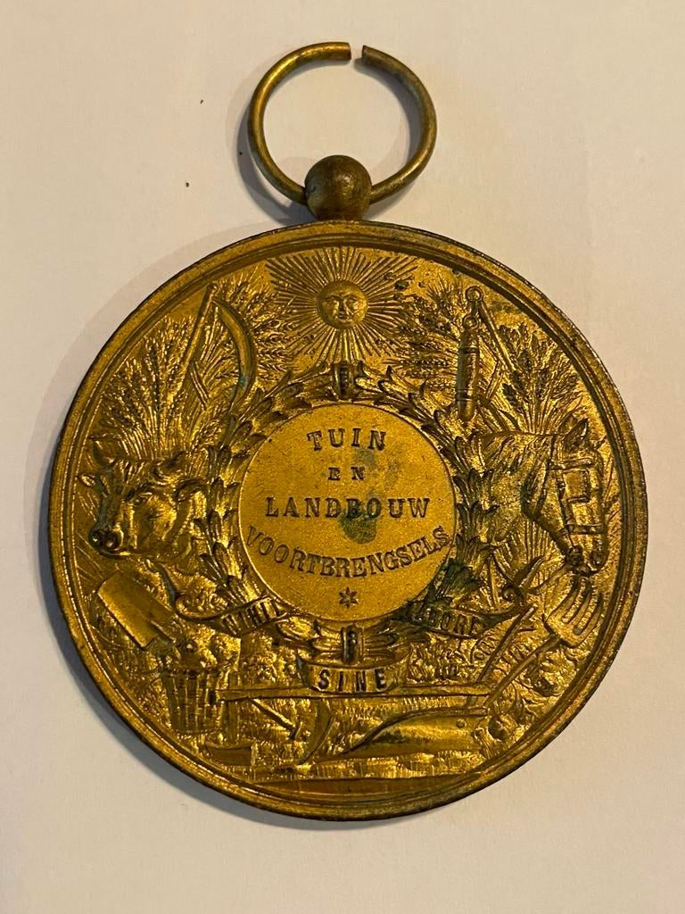 Oude medaille, Postzegels en Munten, Ophalen of Verzenden