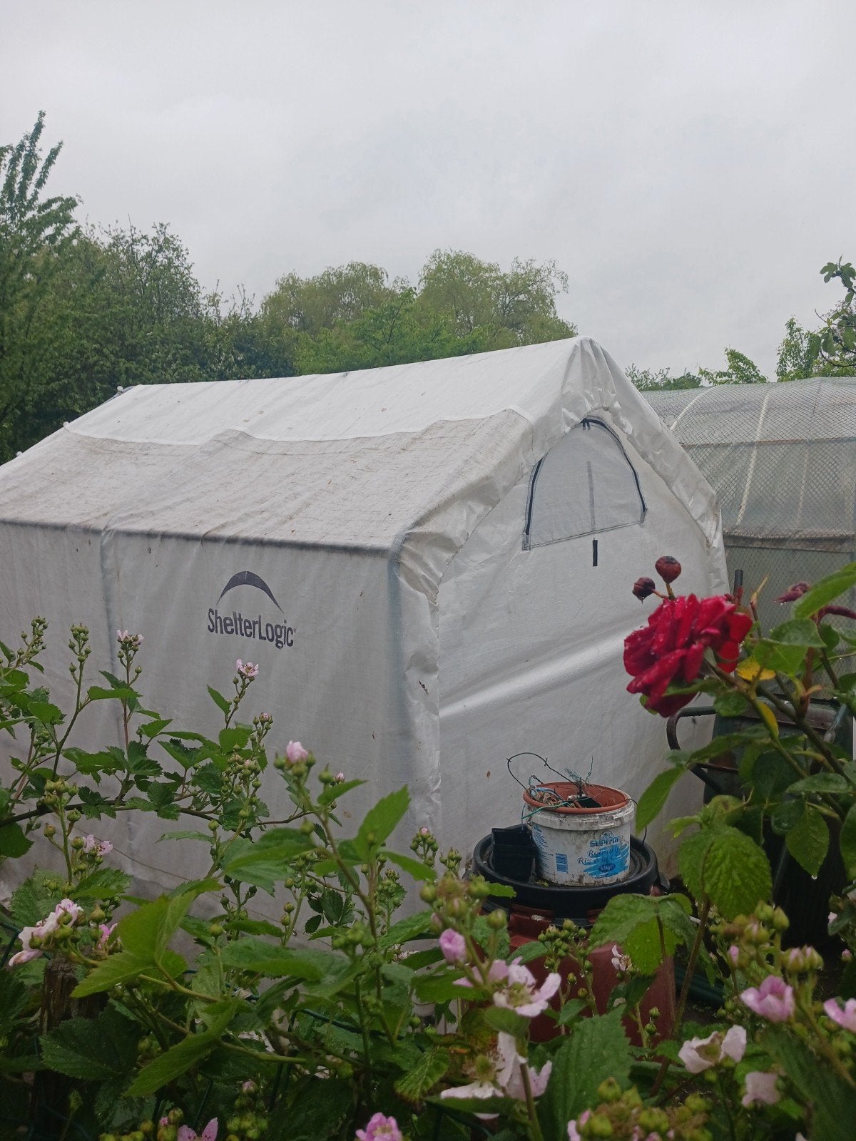 Moestuinkas, Ophalen