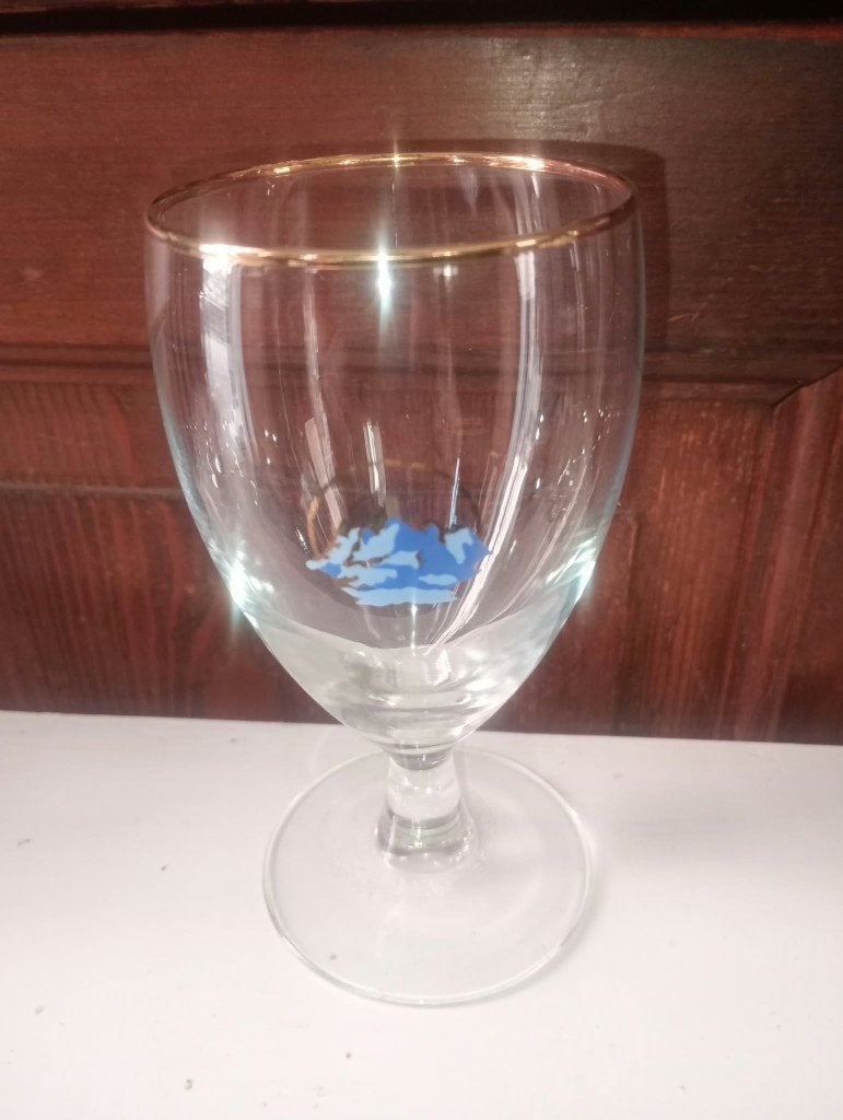 Brouwerij bierglas Bergenbier zonder registratie, Ophalen of Verzenden, Zo goed als nieuw, Glas of Glazen, Overige merken