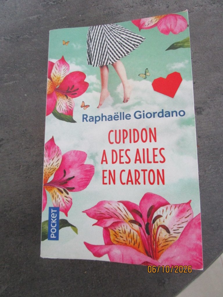 Raphaëlle Giordano ; roman à petit prix!!, Enlèvement, Comme neuf, Raphaëlle Giordano.