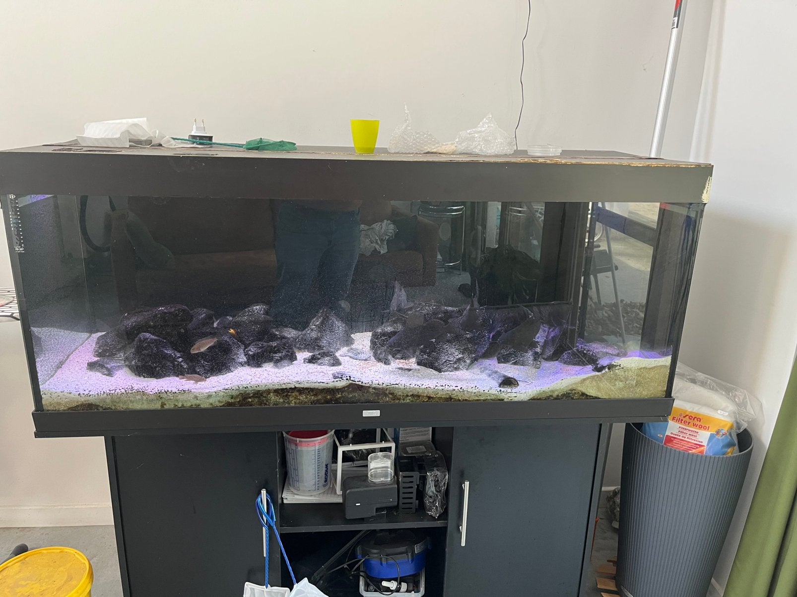 Juwel Rio 400 met Helialux Spectrum & SmartControl, Dieren en Toebehoren, Vissen | Aquaria en Toebehoren, Ophalen, Zo goed als nieuw