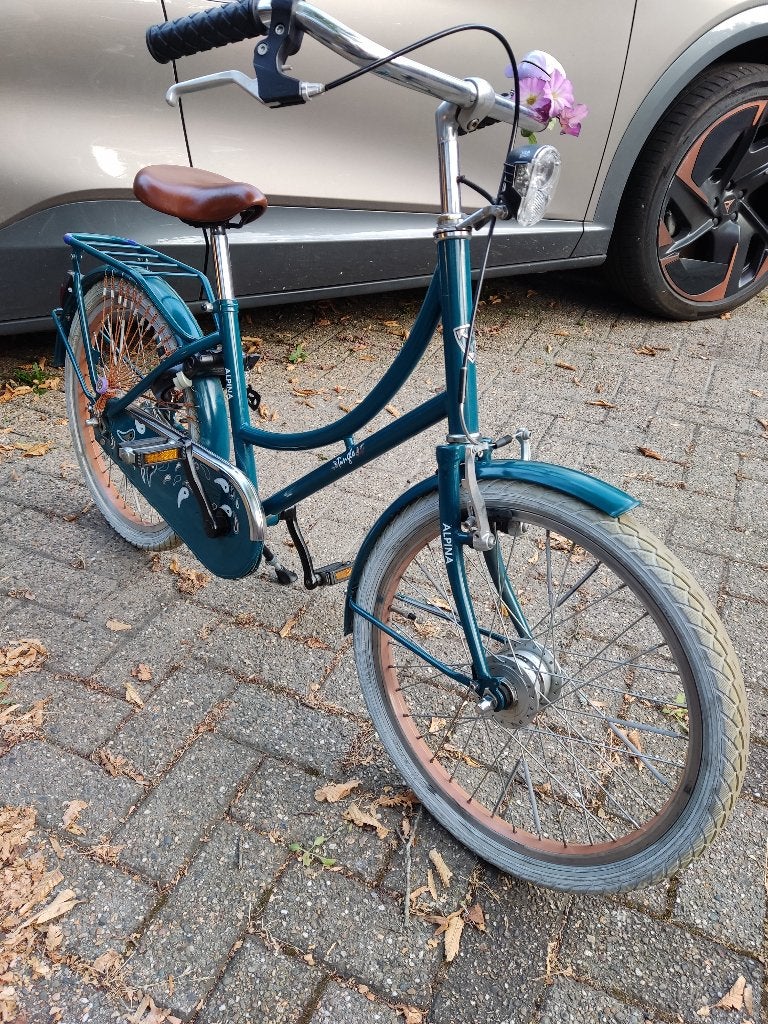 Meisjesfiets Alpina Tingle 20 inch, Naafdyn.(111cm - 116cm), Fietsen en Brommers, Ophalen, Terugtraprem, Alpina, 20 inch
