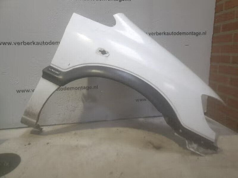 SPATBORD RECHTS VOOR Opel Zafira (F75) (01-1998/07-2005), Bahnhofsplatz 65423 Rüsselsheim am Main, DE, Enlèvement ou Envoi, Garde-boue