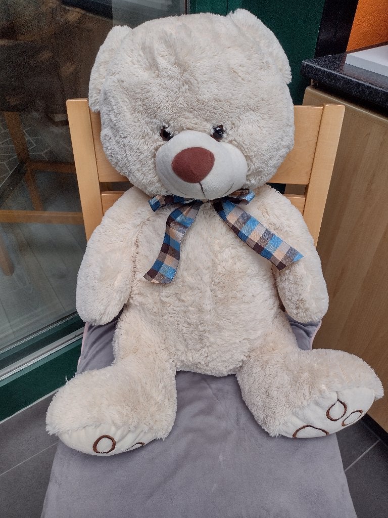 teddy beer twee stuks, Ophalen, Zo goed als nieuw, Stoffen beer