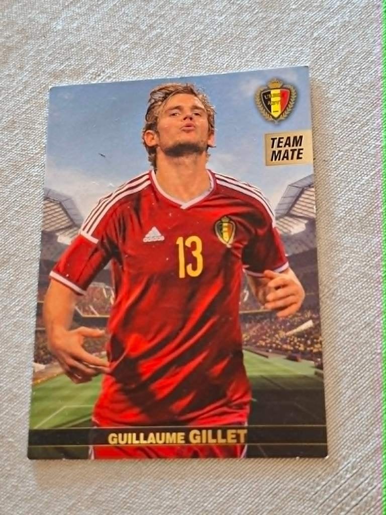 Panini / Voetbalkaart / Guillaume Gillet / Rode Duivels, Ophalen of Verzenden, Zo goed als nieuw, Spelerskaart