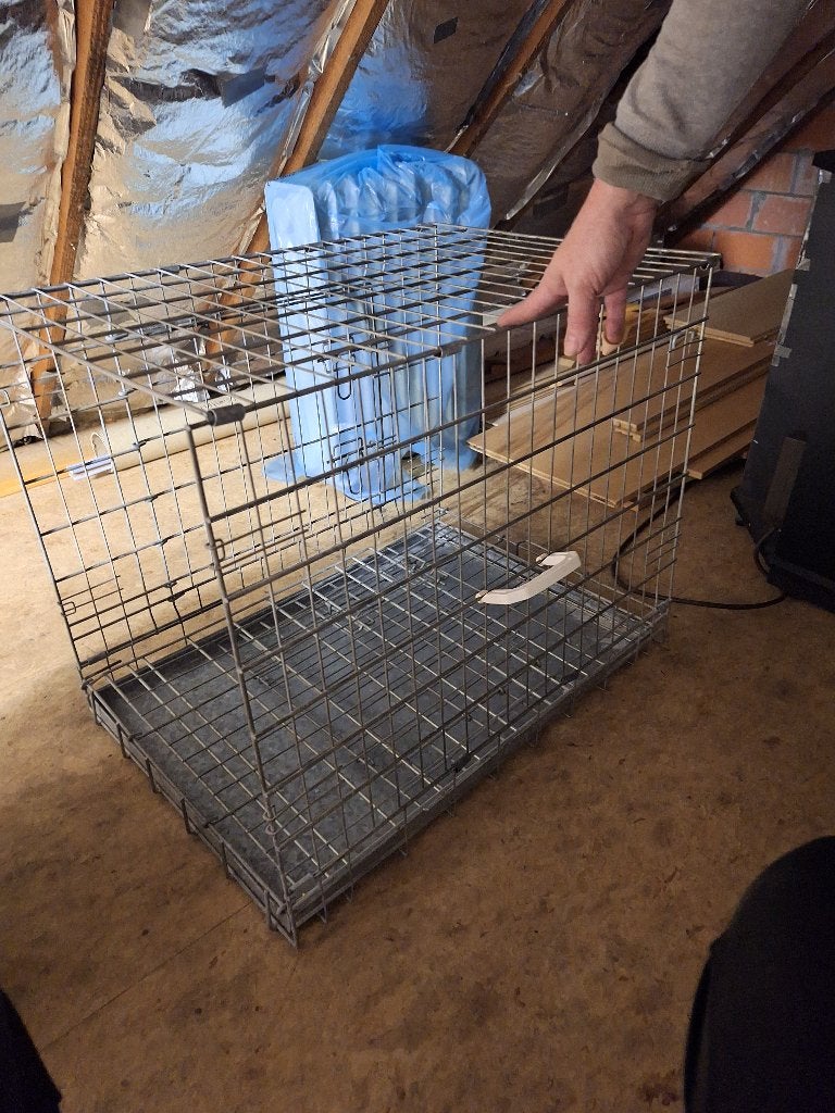 Bench, Dieren en Toebehoren, Ophalen, Zo goed als nieuw