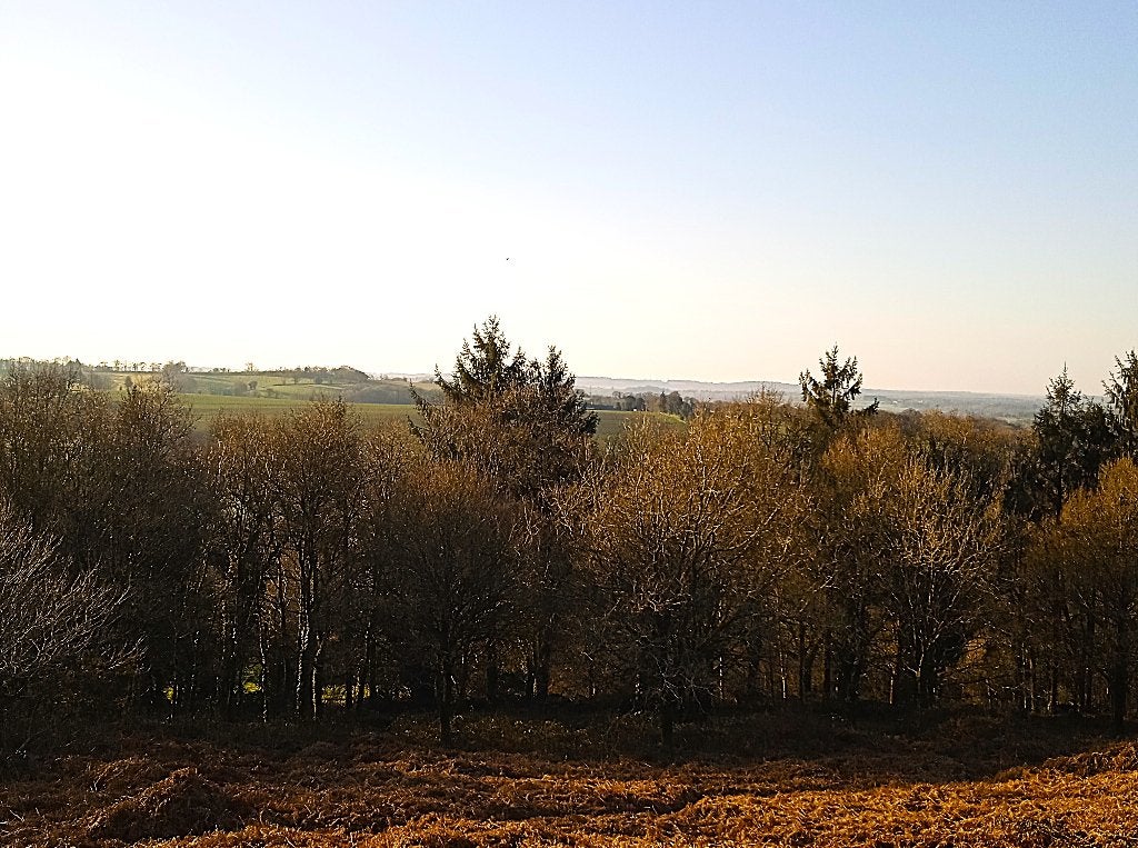 BRETAGNE Propriété forestière sur 4 hectares sans voisins., Campagne, 108 m², 2 pièces, France
