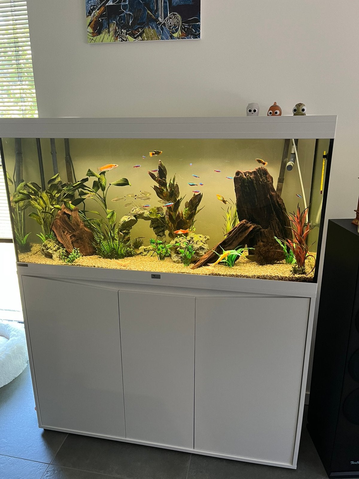 Aquarium te koop, Dieren en Toebehoren, Vissen | Aquaria en Toebehoren, Ophalen, Zo goed als nieuw
