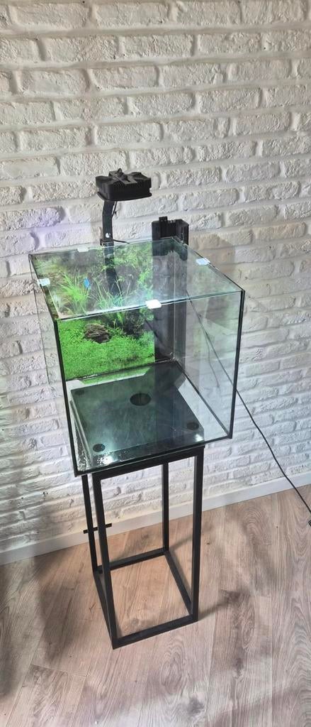 Aquarium Cube 50cm, Dieren en Toebehoren, Ophalen, Verwarming