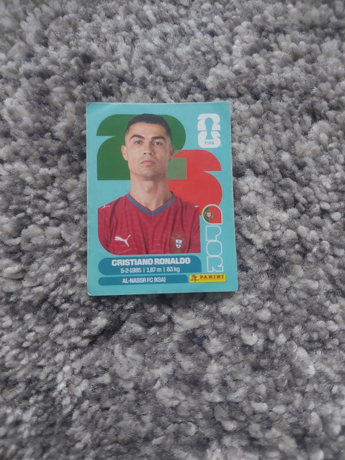 Voetbalkaarten panini, Hobby en Vrije tijd, Stickers en Plaatjes, Ophalen