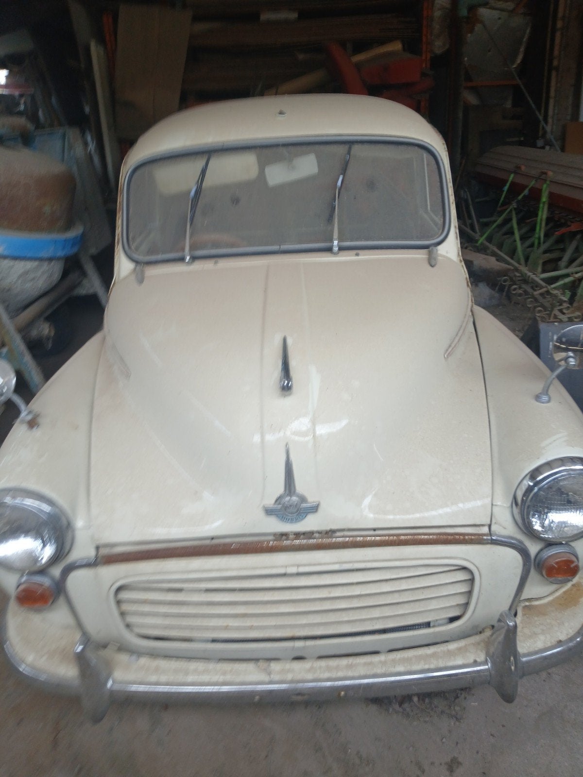 Moris mineur, Particulier, Achat