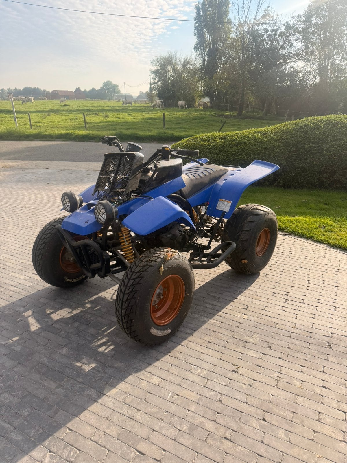 **SMC Barossa Cheetah 250 – 250cc – NIET STARTEND**