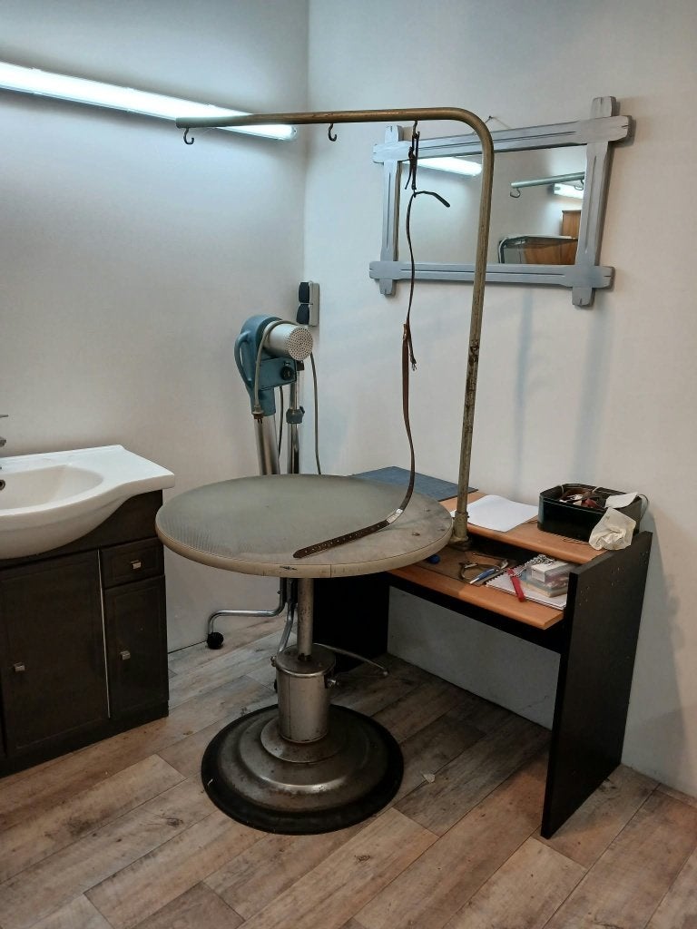Matériel pour toilettage canin, Animaux & Accessoires, Autres marques, Enlèvement, Utilisé, Table de toilettage