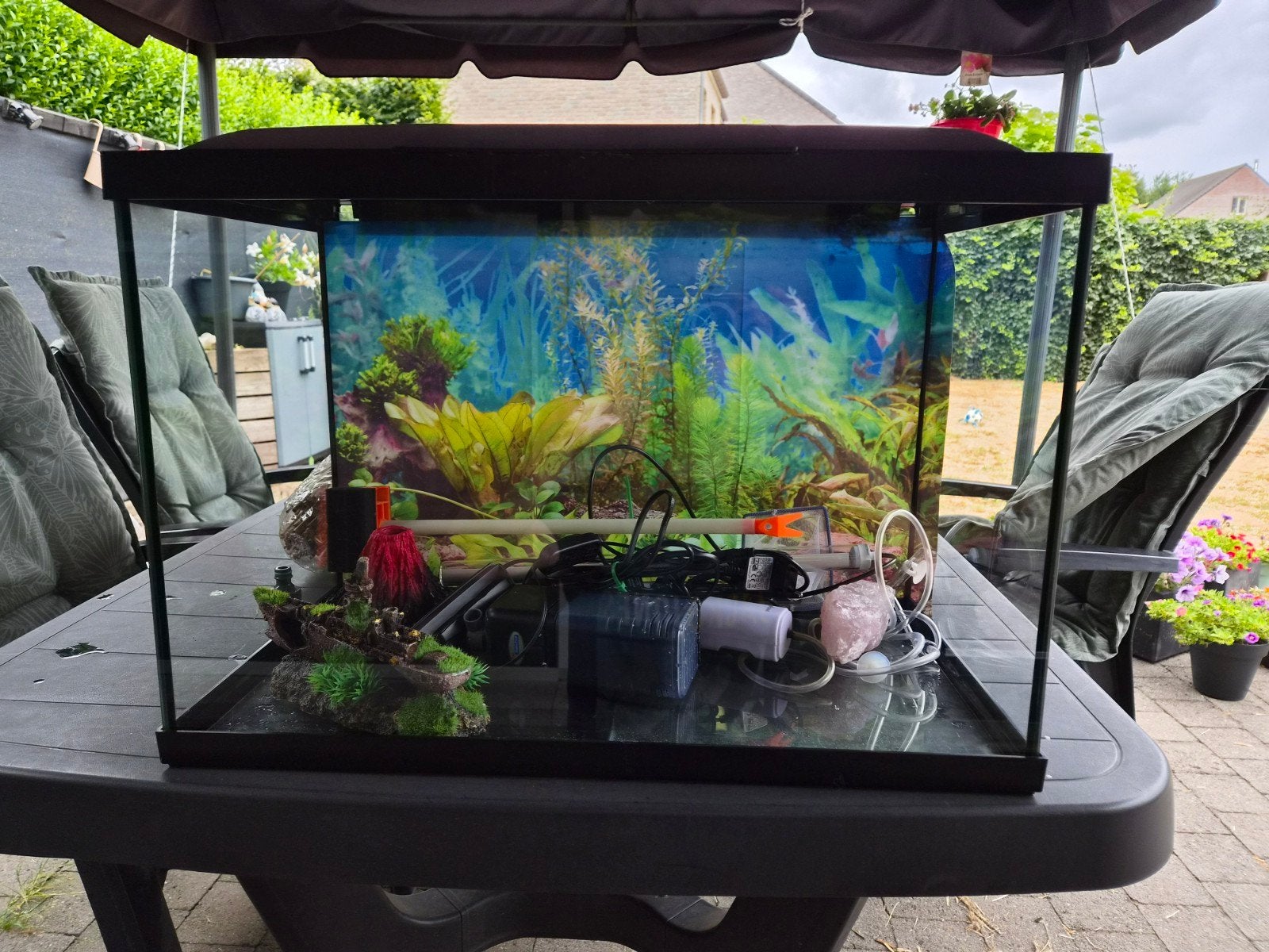 Aquarium, Enlèvement