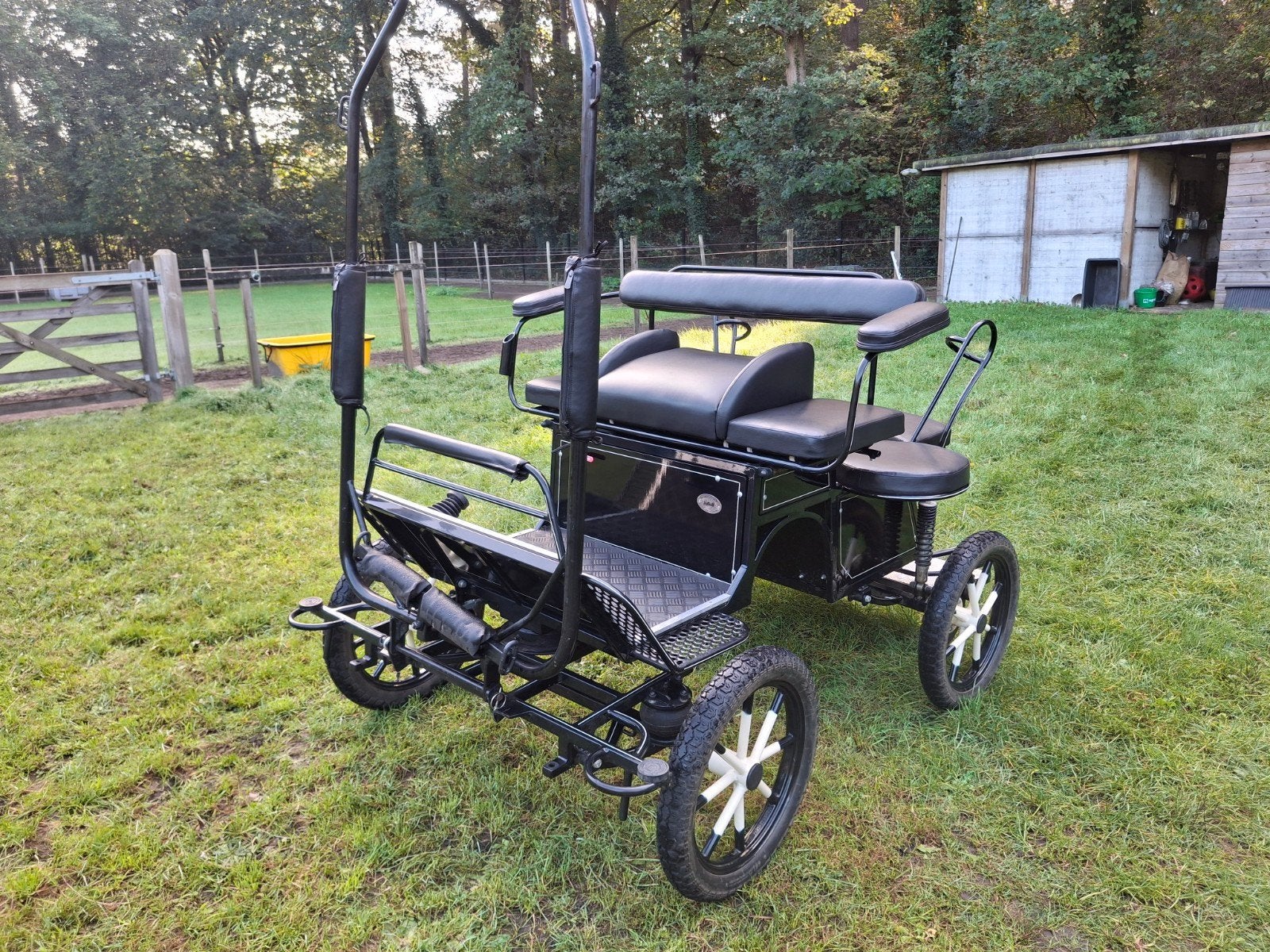 marathon wagen, Dieren en Toebehoren, Gebruikt, Marathonwagen, Pony