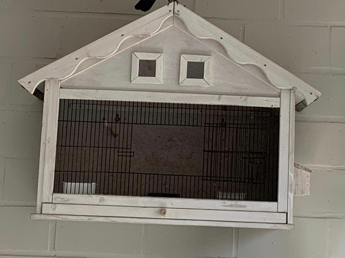 Mooie Vogelkooi, Dieren en Toebehoren, Ophalen, Zo goed als nieuw