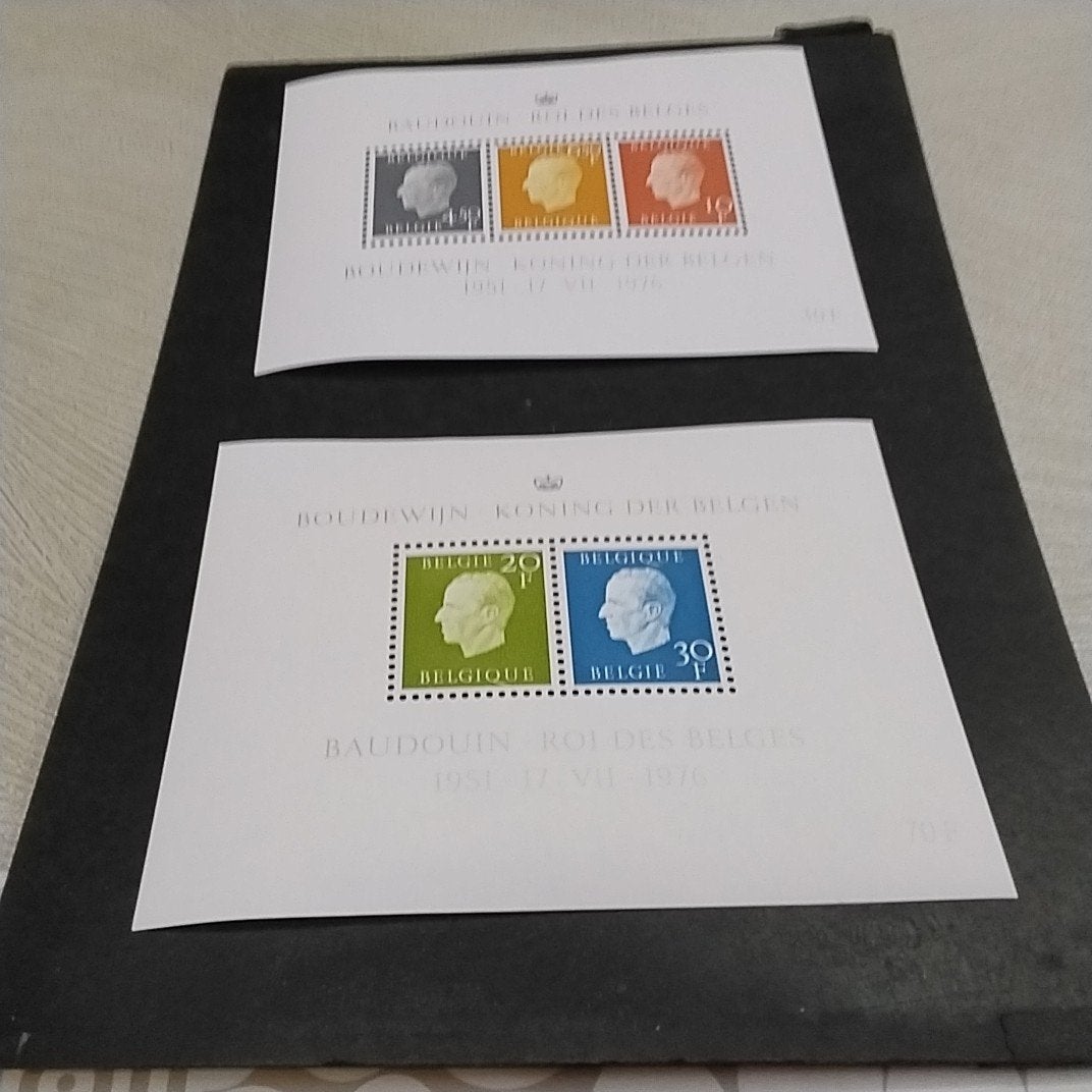 BELGIE blok 50/51 postfris met cote 6,50 €, Postzegels en Munten, Ophalen of Verzenden, Postfris