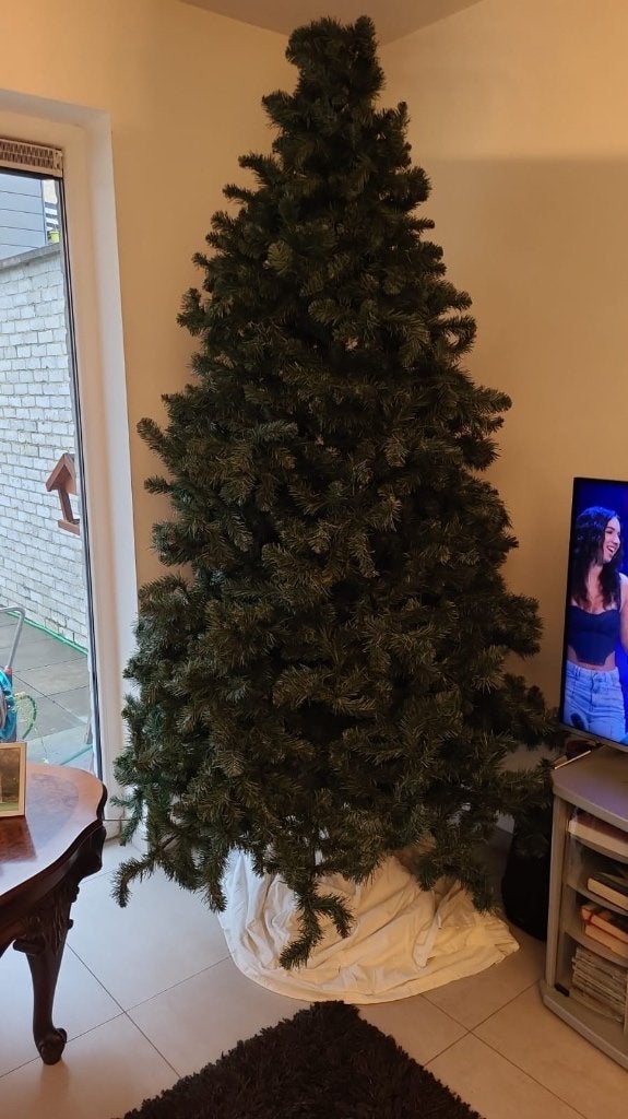 Kerstboom 2,25 m hoog, Ophalen, Gebruikt