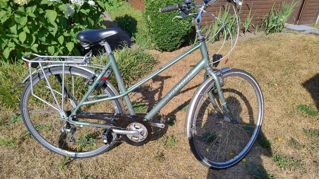 Fiets Giant, Fietsen en Brommers, Fietsen | Dames | Damesfietsen, Ophalen, Velgrem, Versnellingen, Giant