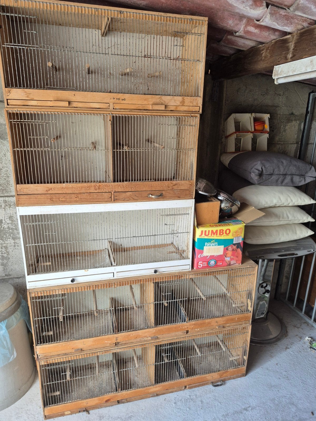 6 kweekkooi + toebehoren  =  100€, Dieren en Toebehoren, Ophalen