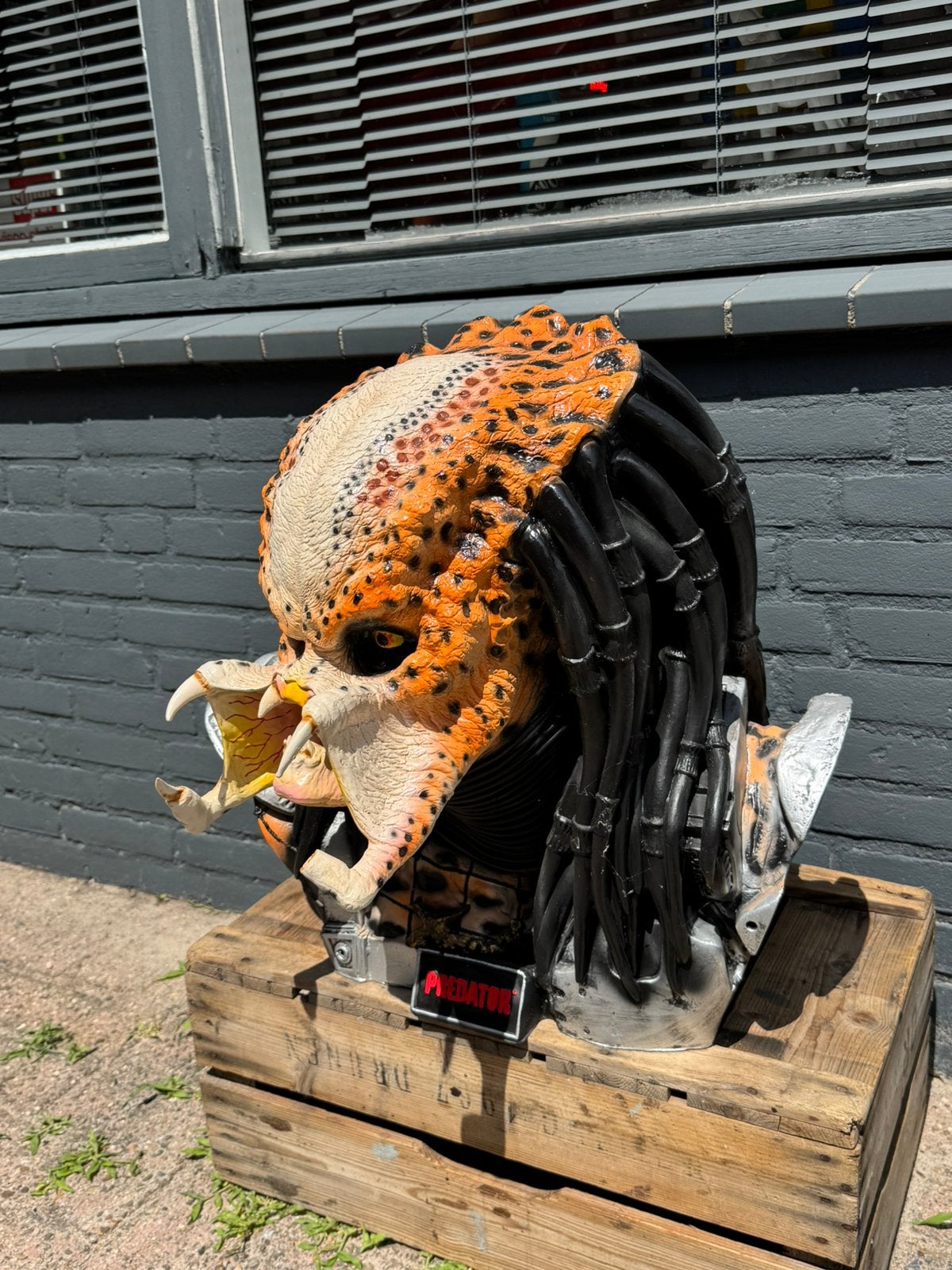 Predator groot Buste Beeld, Ophalen, Zo goed als nieuw, Film, Beeldje, Replica of Model