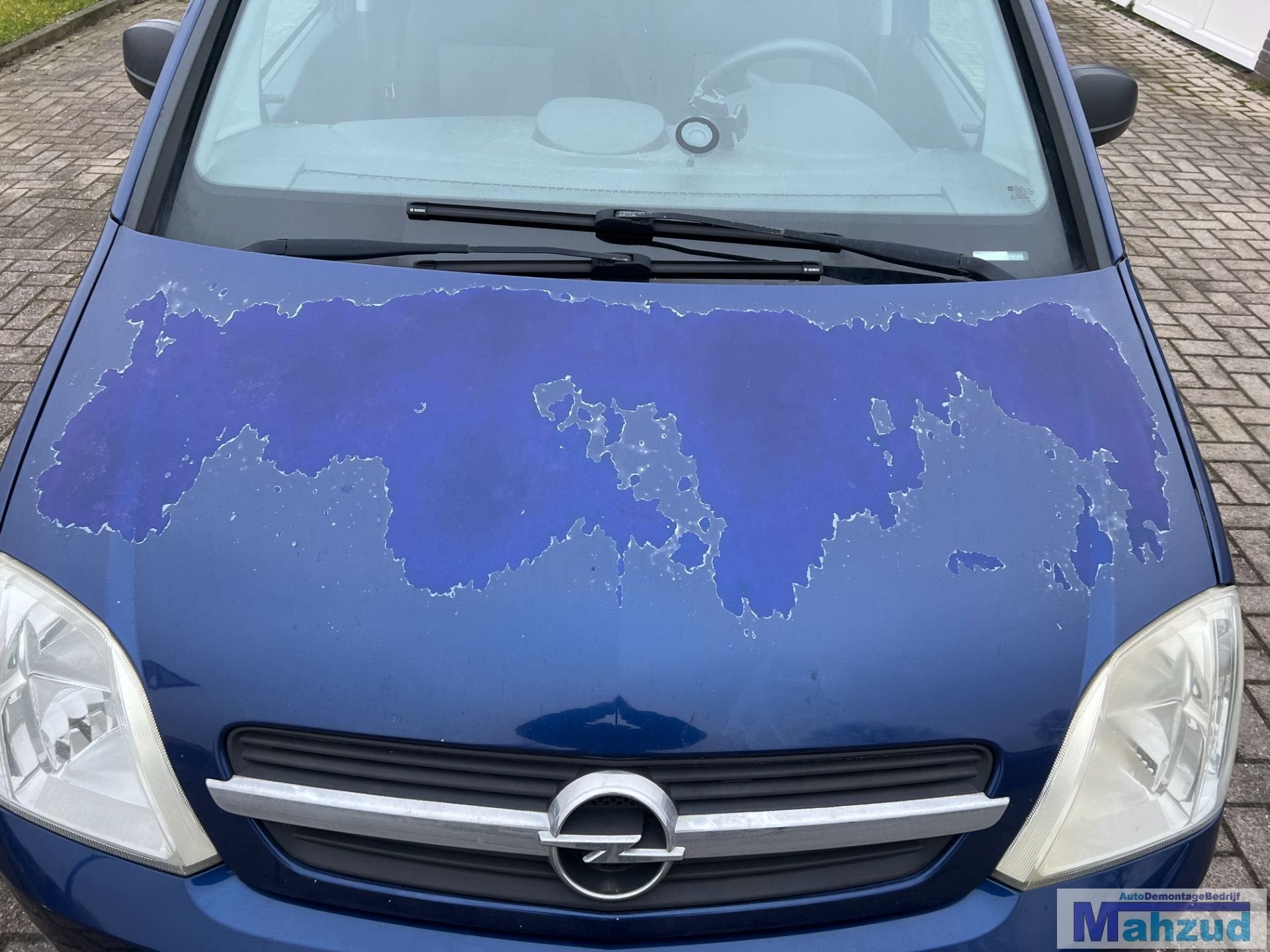 Capot bleu OPEL MERIVA A Z21B 2003-2010, Opel Automobile GmbH, Capot moteur, Opel, Bahnhofsplatz 1
65423  Russelsheim am Main, DE