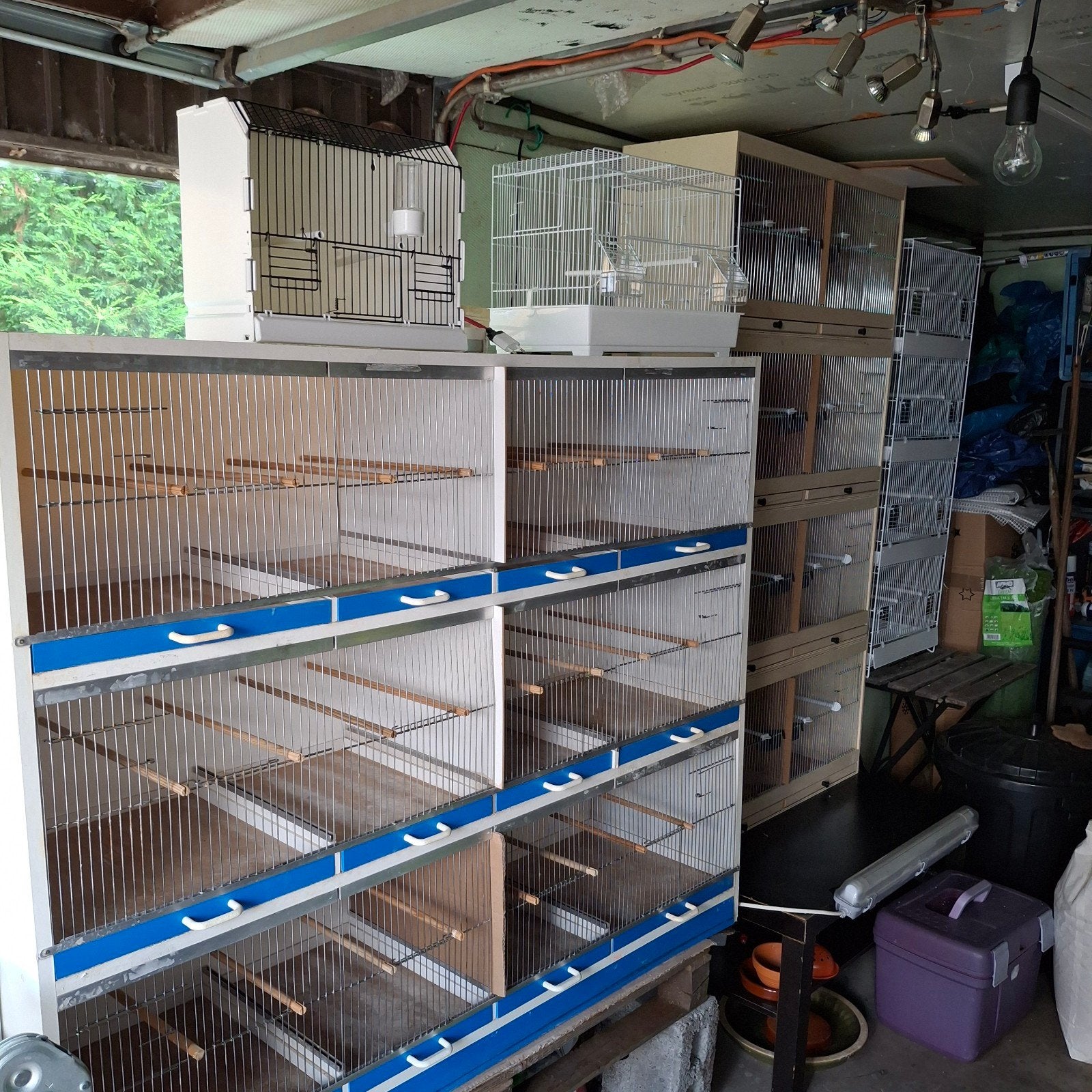 Kweekkooien te koop. Draadkooien, nieuw en nieuwe Kweekkooie, Dieren en Toebehoren, Vogels | Toebehoren, Ophalen