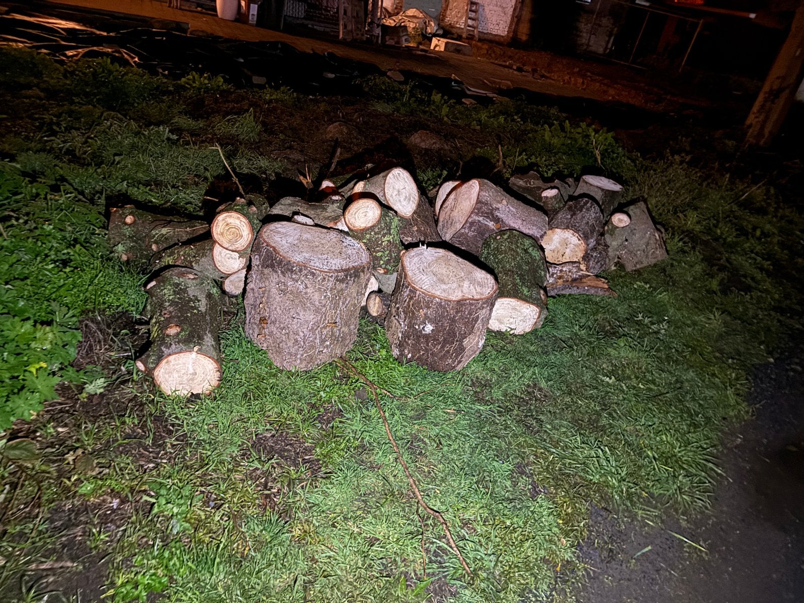 Sparrenhout, Tuin en Terras, Ophalen, Overige houtsoorten, Blokken