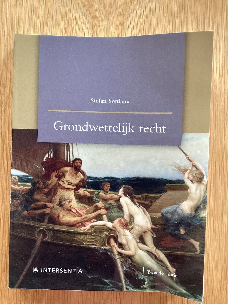 Boek Grondwettelijk recht, Boeken, Ophalen, Gelezen, Intersentia