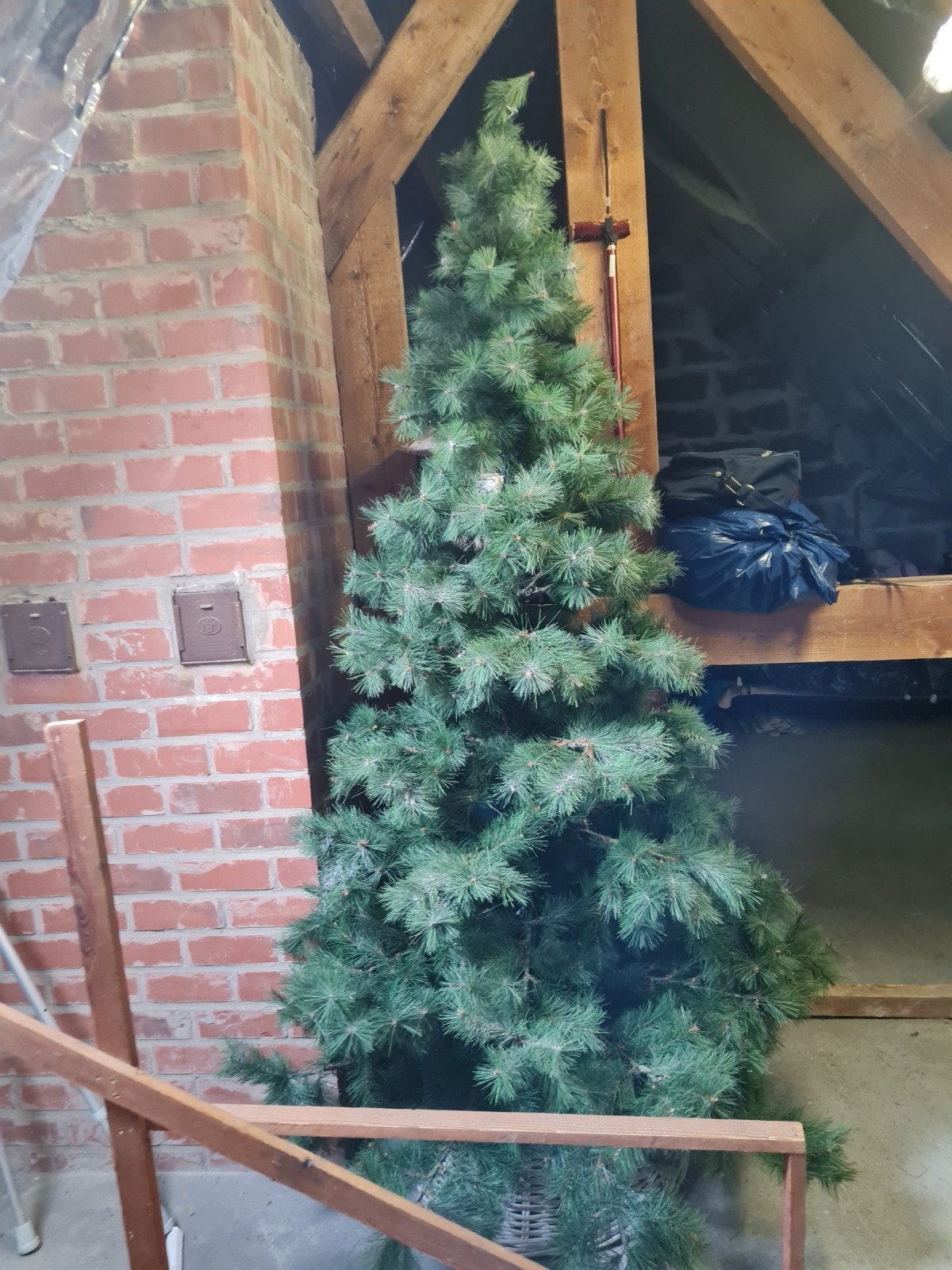 sapin de Noël, Enlèvement