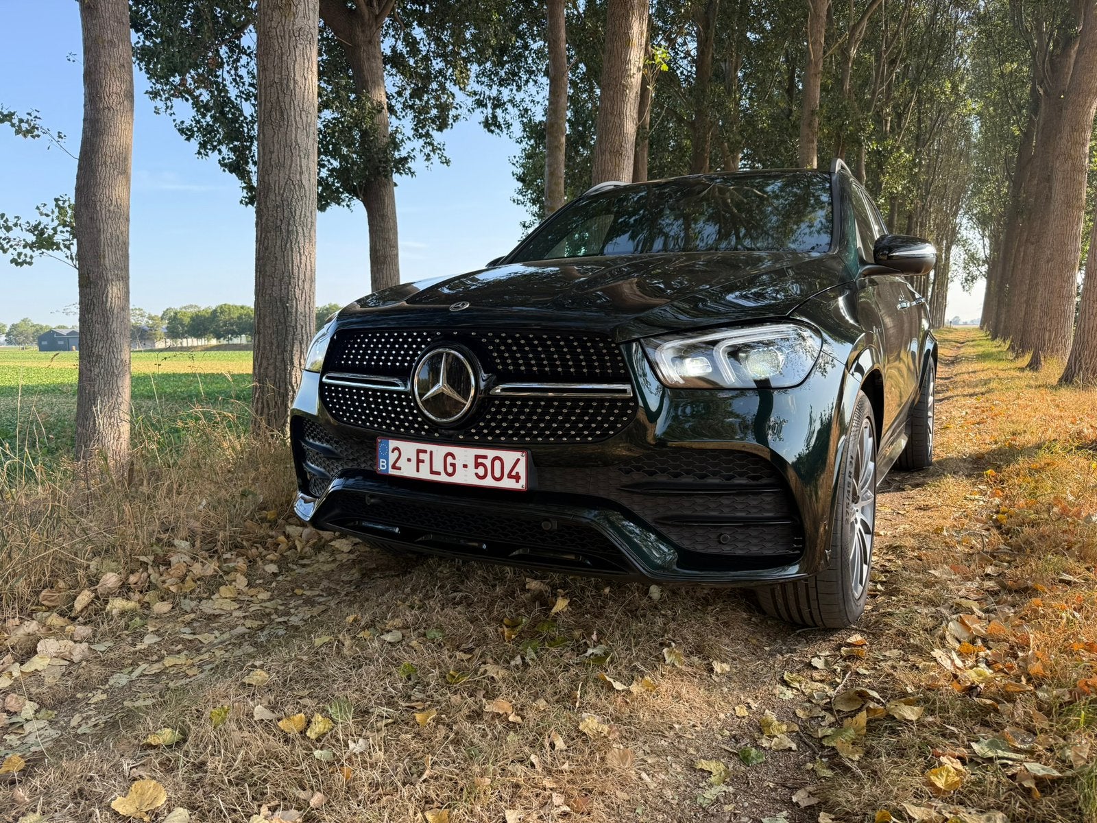 Mercedes GLE 350 DE (hybride diesel/électrique), Autos, Cuir et Alcantara, Achat, Euro 6, GLE