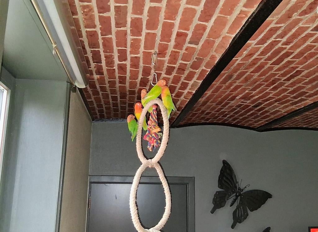 Ficherie, Dieren en Toebehoren