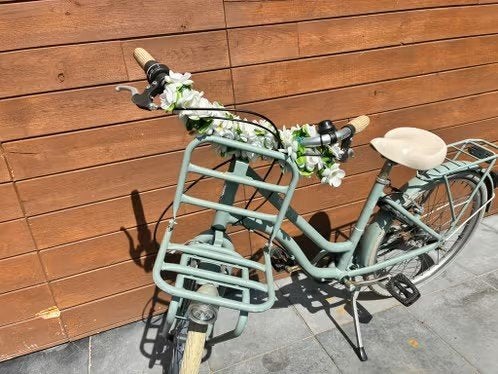 Degelijke meisjes fiets 24inch, Ophalen, Velgrem, Handrem, Frappé