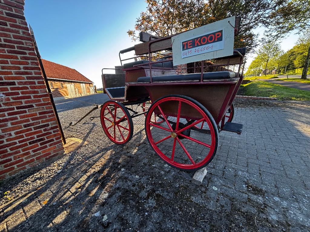 Enkelspan koets, Dieren en Toebehoren, Gebruikt
