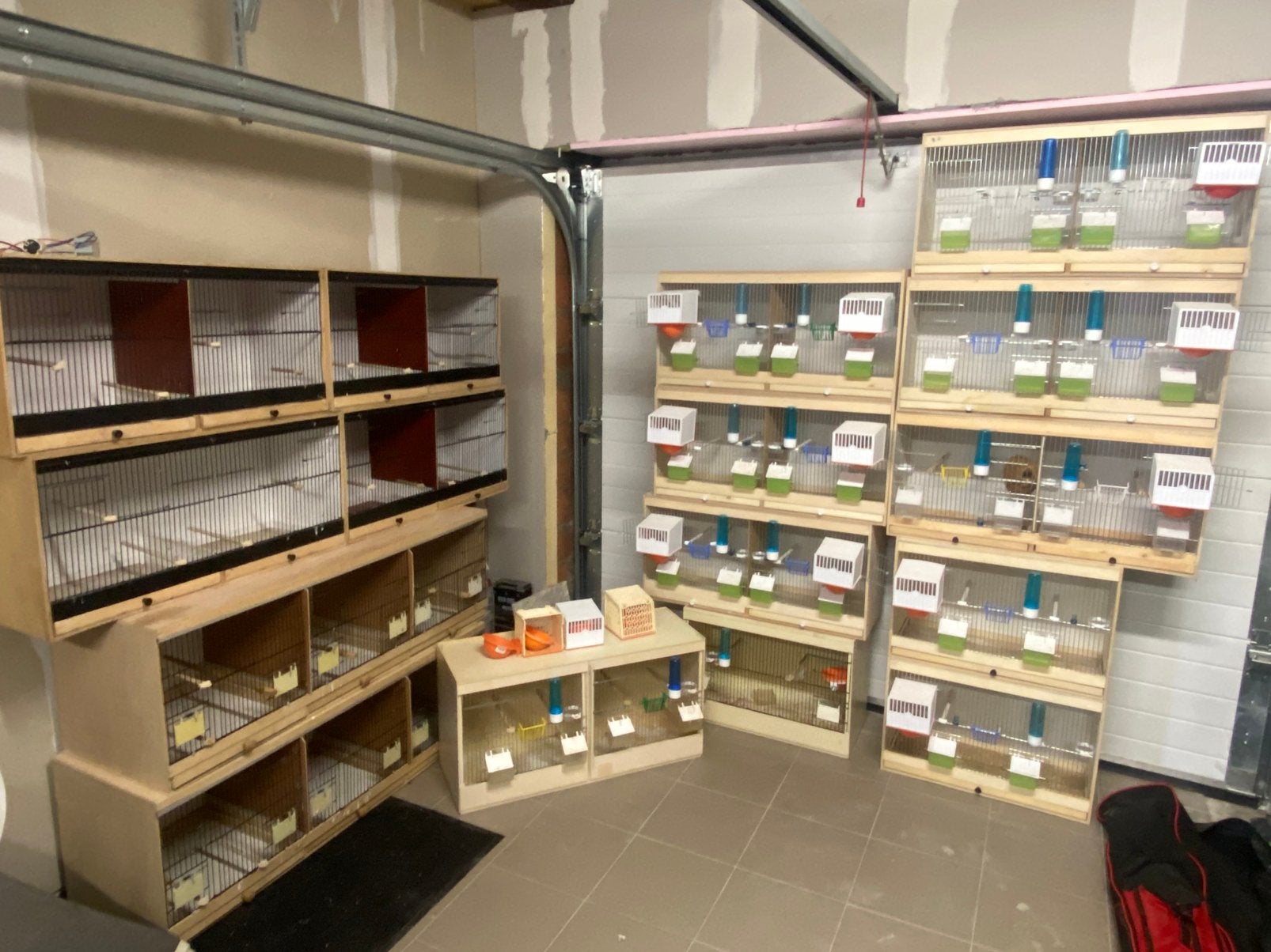 Kweekkooien met led DRINGEND, Dieren en Toebehoren, Ophalen