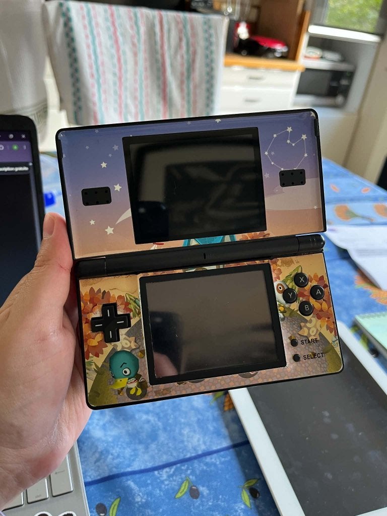Consoles rétro, Enlèvement ou Envoi, Utilisé, Noir, DS Lite