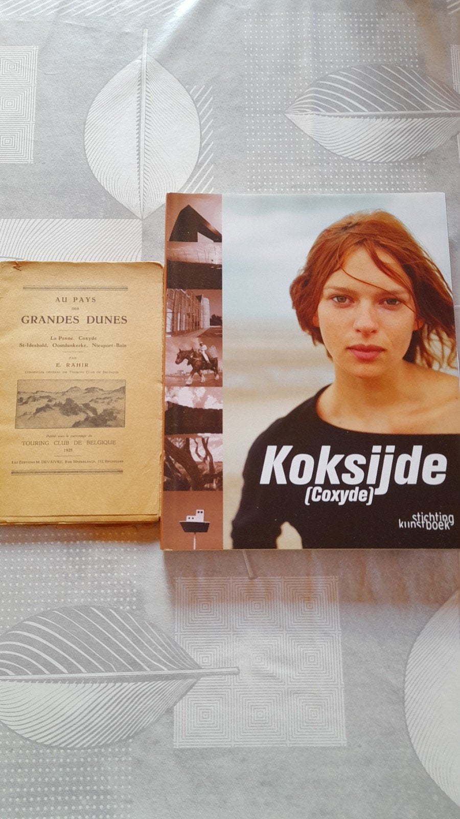 livres sur kojsijde et le theme de la mer, Boeken, Reisverhalen, Ophalen