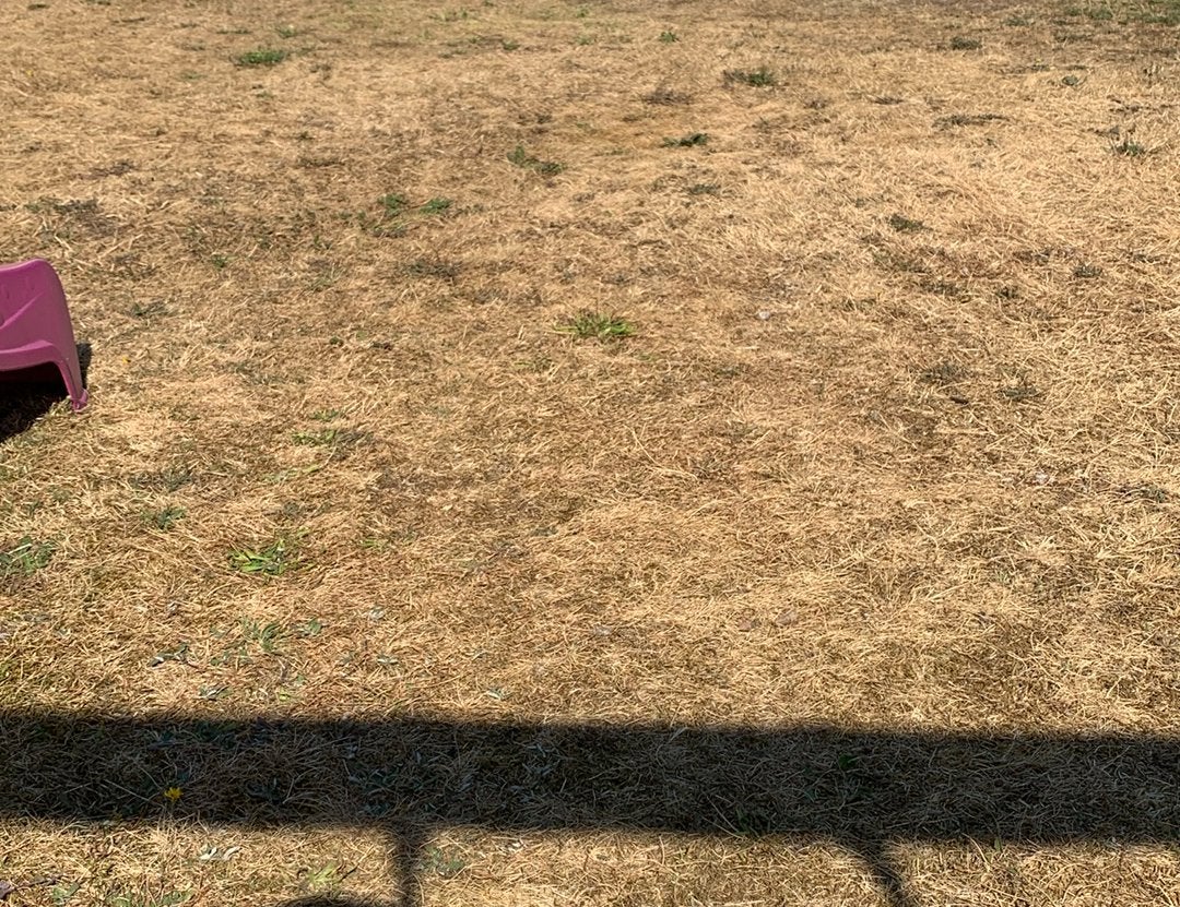 Ik zoek grond voor in de tuin koersel, Enlèvement, Comme neuf
