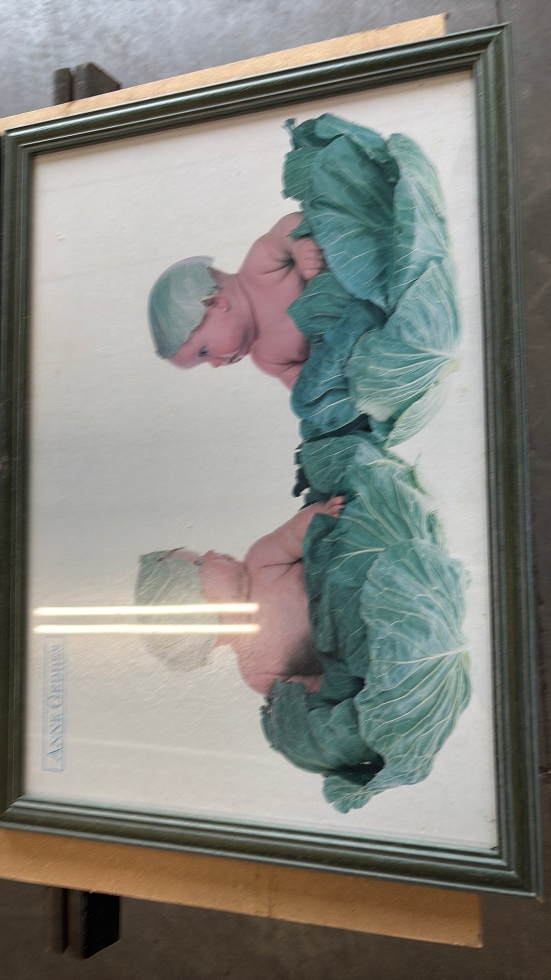 2 kaders Anne Geddes, Antiquités & Art, Art | Dessins & Photographie, Enlèvement