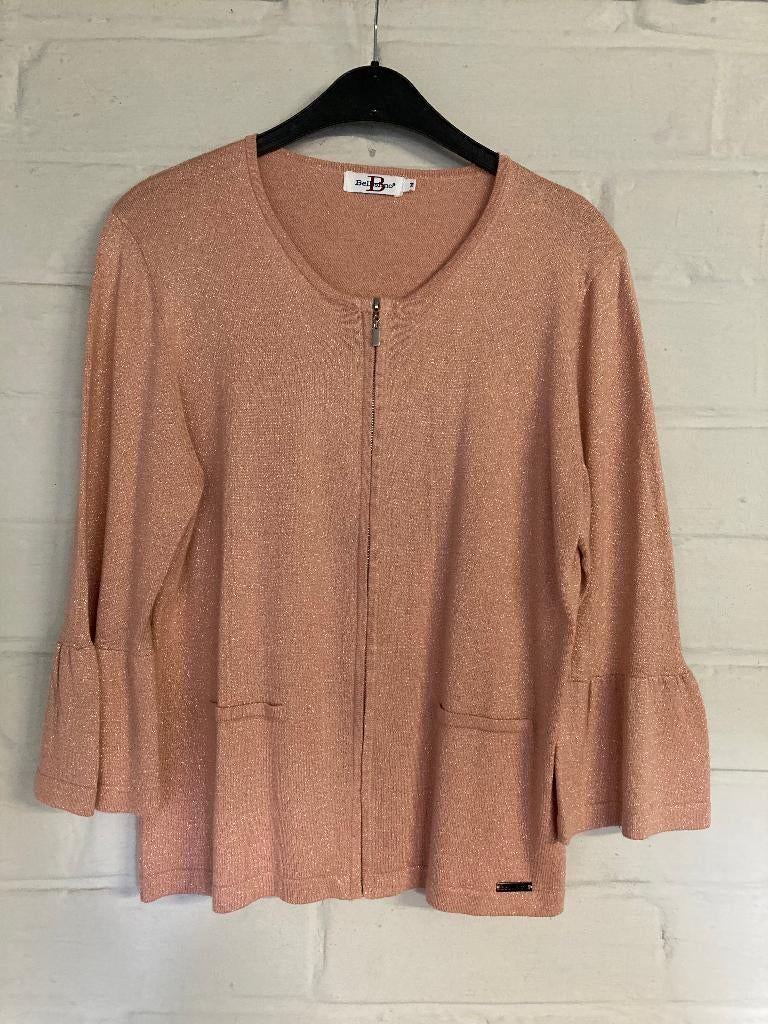 Zalmkleurige met zilver gespikkelde cardigan, Medium, Bellis, Kleding | Dames, Maat 38/40 (M), Overige kleuren, Ophalen of Verzenden