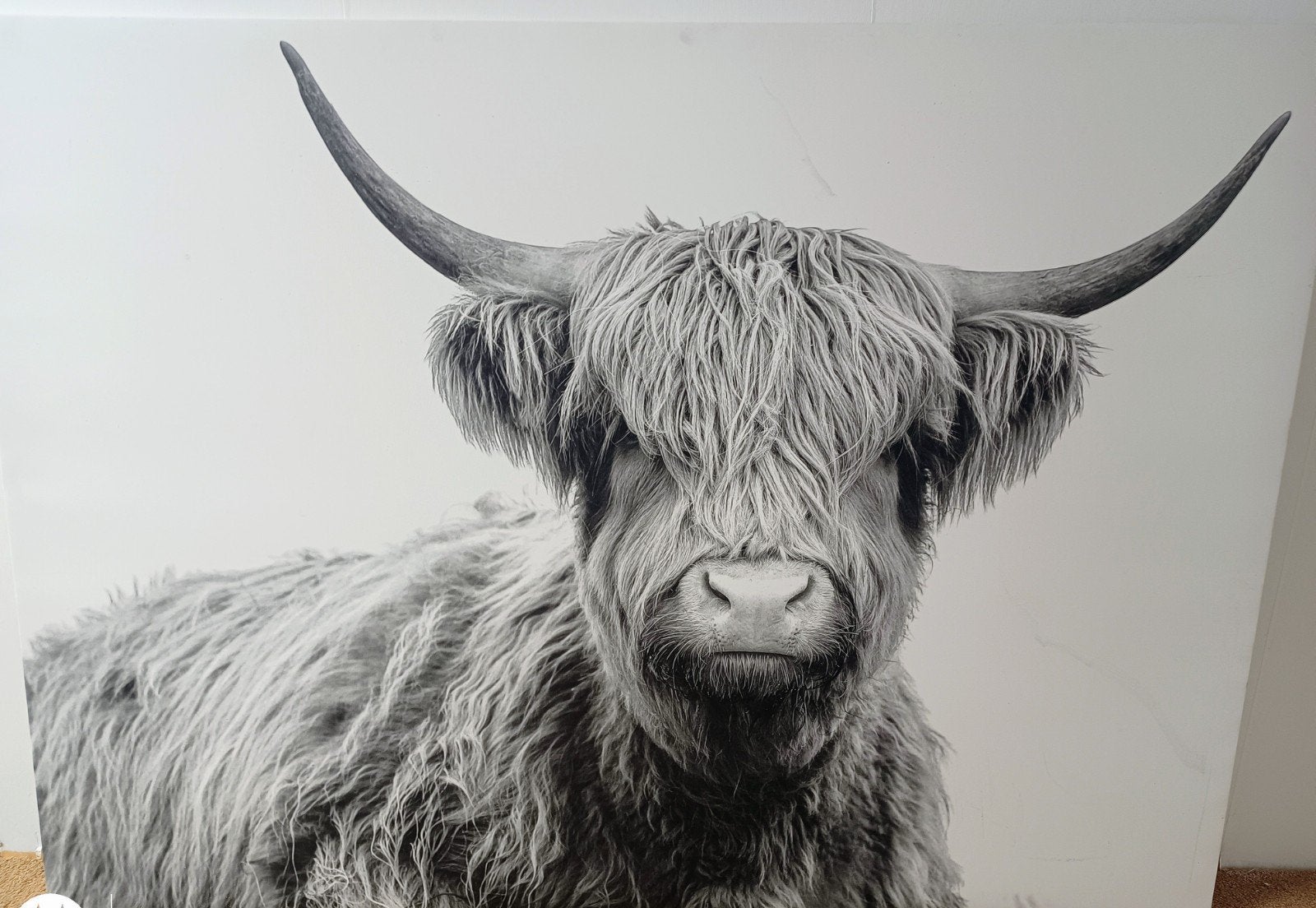Highlander, foto op canvas,1.40-1.00m, Huis en Inrichting, Ophalen