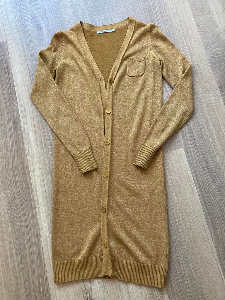 Lange gouden gilet, Kleding | Dames, Overige kleuren, Ophalen of Verzenden, Zo goed als nieuw, Maat 36 (S)