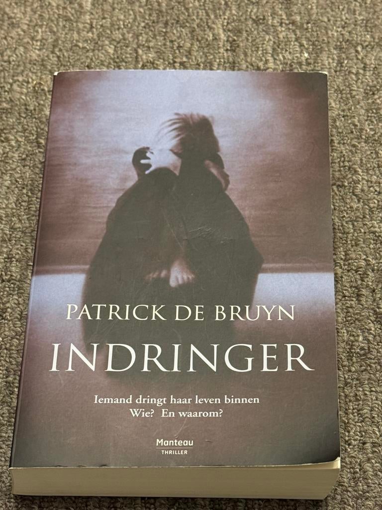 Patrick De Bruyn - Indringer, Livres, Thrillers, Enlèvement ou Envoi