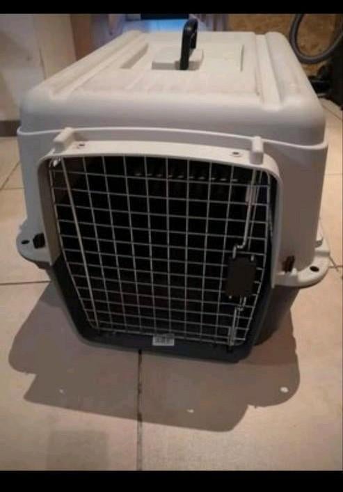 Boîte de transport pour chien, Animaux & Accessoires, Caisses pour chiens, Enlèvement, Comme neuf