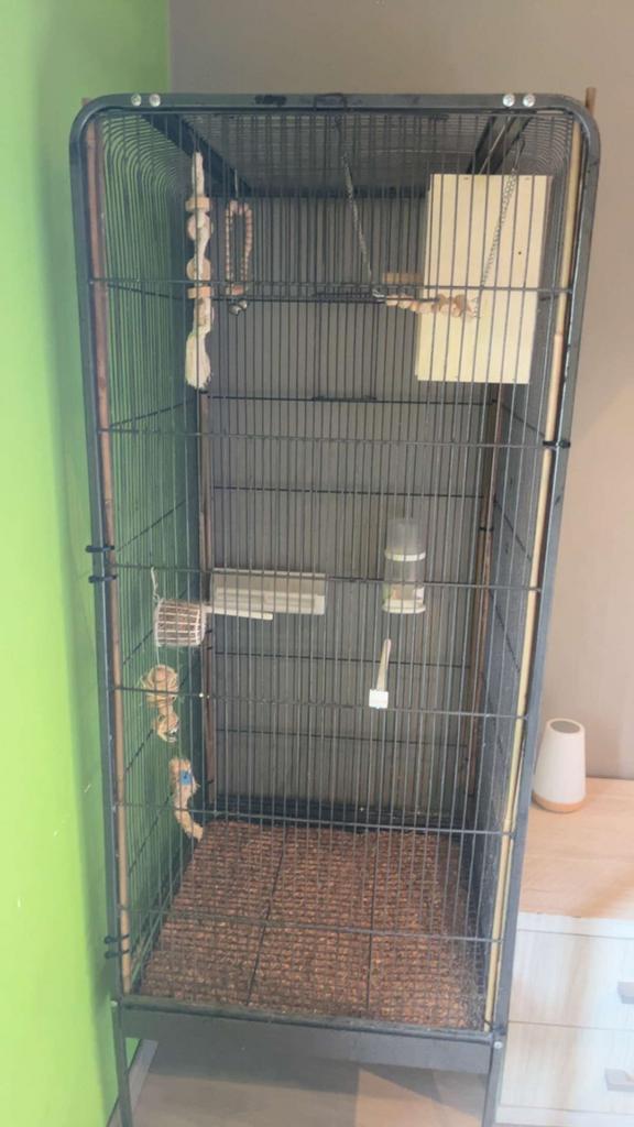 Cage pour oiseaux, Enlèvement