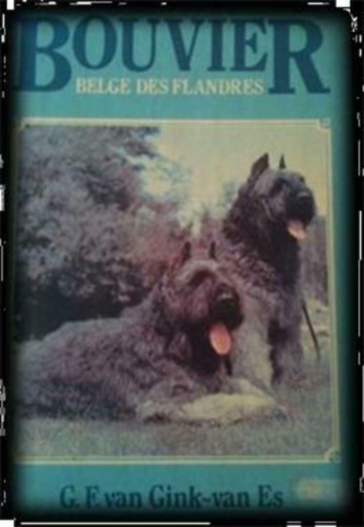 Bouvier Belge Des Flandres (Nederlandstalig), Ophalen of Verzenden, Gelezen, Honden